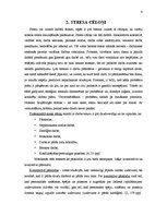 Referāts 'Profesionālais darba stress', 6.