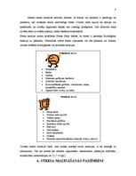 Referāts 'Profesionālais darba stress', 8.