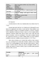 Referāts 'Īpatnējo leksikas slāņu izmantojums Daces Rukšānes stāstu krājumā "Ķīpsalas putn', 6.