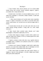Referāts 'Īpatnējo leksikas slāņu izmantojums Daces Rukšānes stāstu krājumā "Ķīpsalas putn', 18.