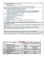 Paraugs 'Biznesa projekts', 4.