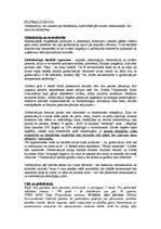 Konspekts 'Globalizācija', 1.