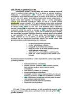 Konspekts 'Globalizācija', 3.