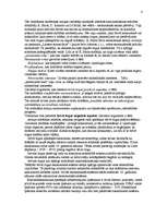 Konspekts 'Ekonomiskās sistēmas. Tirgus sistēma. Tirgus nepilnības un valsts loma ekonomikā', 4.