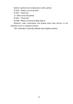 Diplomdarbs 'Naudas līdzekļu uzskaite, kontrole un analīze uzņēmumā "X"', 42.