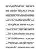 Referāts 'Intelektuālā īpašuma tiesības', 5.