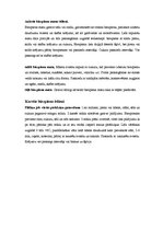 Konspekts 'Ēdienu gatavošana', 8.