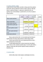 Referāts 'Finašu analīze', 17.