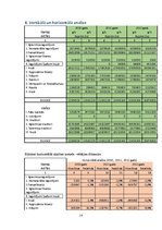 Referāts 'Finašu analīze', 20.