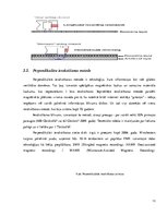 Diplomdarbs 'Cieto disku uzbūve un salīdzināšana', 12.