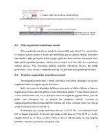 Diplomdarbs 'Cieto disku uzbūve un salīdzināšana', 13.