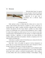 Diplomdarbs 'Cieto disku uzbūve un salīdzināšana', 17.