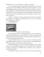 Diplomdarbs 'Cieto disku uzbūve un salīdzināšana', 18.