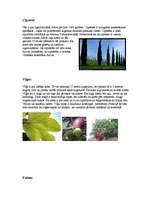 Referāts 'Mūžzaļo cietlapju koku meži un krūmāji', 3.