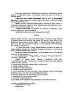 Referāts 'Finanšu un tirdzniecības dokumenti', 1.