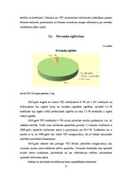 Prakses atskaite 'Prakses atskaite Valsts ieņēmumu dienestā', 13.