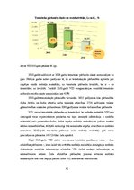 Prakses atskaite 'Prakses atskaite Valsts ieņēmumu dienestā', 41.