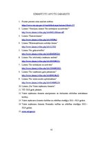 Prakses atskaite 'Prakses atskaite Valsts ieņēmumu dienestā', 45.