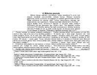 Referāts 'Ēģiptes un Mezopotāmijas kultūras salīdzinājums', 9.