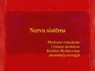 Prezentācija 'Nervu sistēma', 1.