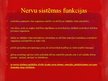 Prezentācija 'Nervu sistēma', 6.