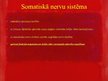 Prezentācija 'Nervu sistēma', 9.