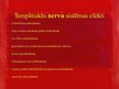 Prezentācija 'Nervu sistēma', 14.