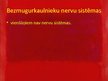 Prezentācija 'Nervu sistēma', 18.