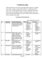 Biznesa plāns 'Suveniru veikala industrijas analize', 11.