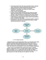 Referāts 'A/s SEB bankas piedāvāto pakalpojumu privātpersonām analīze', 14.