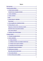 Prakses atskaite 'Stiegrbetona un mūra konstrukcijas', 2.