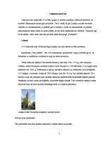 Konspekts 'Ceļojuma izmaksu aprēķins', 4.