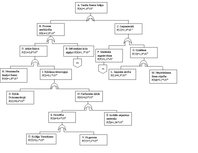 Paraugs 'Riska analīze', 6.
