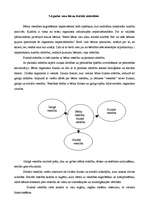 Referāts 'Sports un tā mācību metodika. Fiziskās aktivitātes pirmsskolas vecuma bērnu attī', 3.