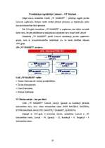 Referāts 'SIA "Triāls" dūmdesu eksports uz Lietuvas Republiku', 20.