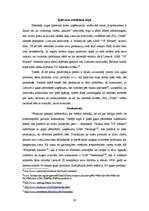 Referāts 'SIA "Triāls" dūmdesu eksports uz Lietuvas Republiku', 29.