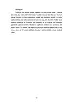 Referāts 'SIA "Triāls" dūmdesu eksports uz Lietuvas Republiku', 32.