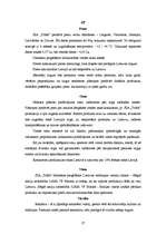 Referāts 'SIA "Triāls" dūmdesu eksports uz Lietuvas Republiku', 37.