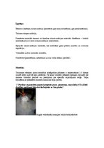 Konspekts 'Fizika', 5.