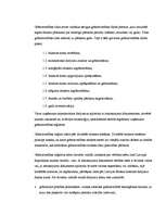 Konspekts 'Grāmatvedība', 5.