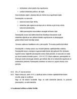 Konspekts 'Grāmatvedība', 21.