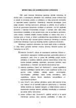 Referāts 'Mārketings kā darbības veids', 3.