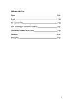 Referāts 'Ziemassvētku svinēšana un atribūtika Āfrikā', 2.