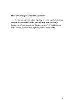 Referāts 'Ziemassvētku svinēšana un atribūtika Āfrikā', 5.