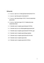 Referāts 'Ziemassvētku svinēšana un atribūtika Āfrikā', 9.