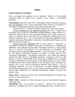 Konspekts 'Firma', 1.