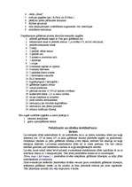 Konspekts 'Kuģošanas drošība', 5.