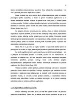 Referāts 'Kultūras produkta loma pilsētas mārketingā', 9.