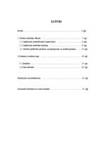 Referāts 'Uzņēmuma ”Fortech” produkta virzīšana tirgū', 2.