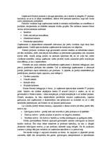 Referāts 'Uzņēmuma ”Fortech” produkta virzīšana tirgū', 15.